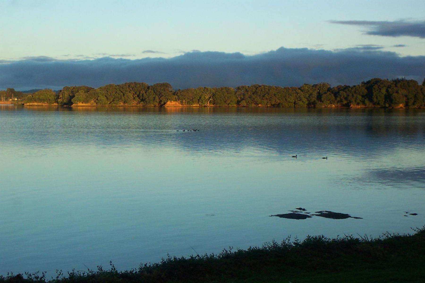 Absolute Waterfront Serenity Near Auckland Clarks Beach Zewnętrze zdjęcie